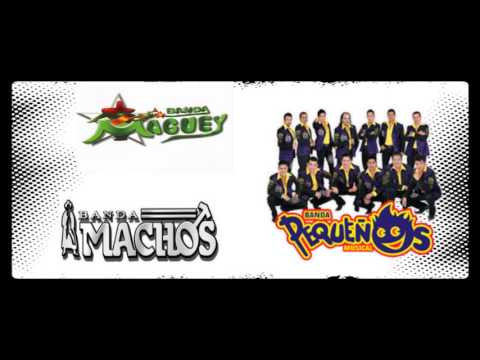 Banda Pequeños Musical - Banda Maguey  / Banda Machos - Las Reinas De Los 90´s