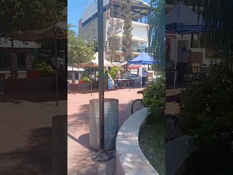 palmeras de santa fe municipio de zapotlanejo jalisco