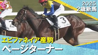 ページターナーが断然人気に応えてデビュー勝ち！川田騎手「徐々に良くなってくれれば」2025年12月14日(日)２歳新馬　阪神芝2000m　実況：川島壮雄【カンテレ公式】