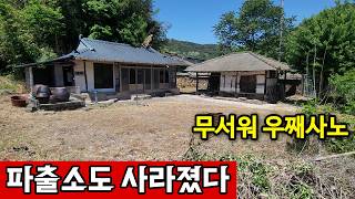 경상남도 의령군 낙서면 파출소도 필요없는 마을 | 밤에는 무서워서 못나와 영상 썸네일