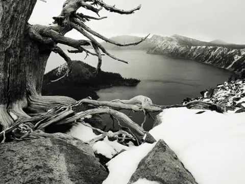 Sevara Nazarxon ''Sen'' ♥