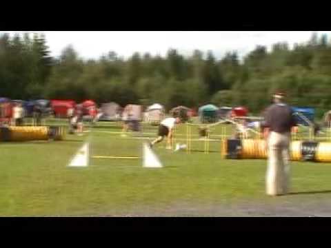 Kjell och Phoebe Gagnef-Floda