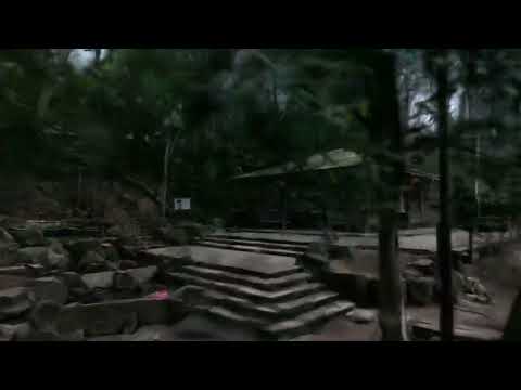 出力サンプル動画