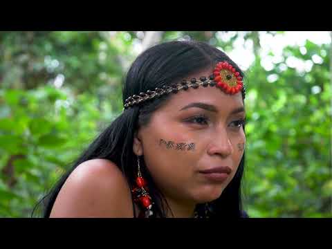 MICRODOCUMENTAL TENA Y PANO