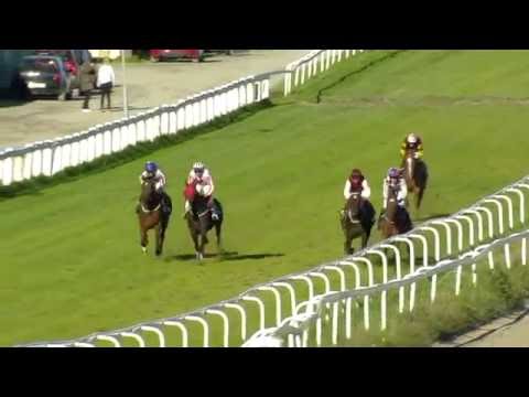 2016.10.02 Øvrevoll Champion Hurdle (NOR) - Hot Wing