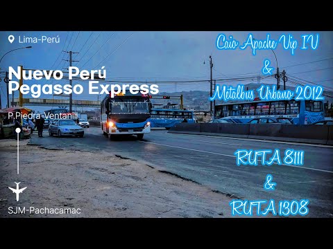 CAIO Apache Vip IV & Metalbus Urbano | Nuevo Perú & Pegasso Express [RUTA 8111 & 1308]