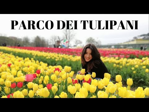 PARCO DEI TULIPANI Roma Lazio Primavera - RICETTE DI GABRI