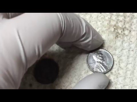 How to clean a steel wheat penny! Walking through the process and results! Before and After pics.