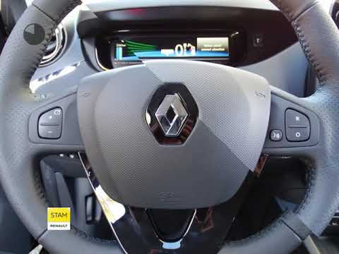 Renault ZOE R110 Iconic 41 kWh (incl. Batterij) Navig, Camera, Park.sens., 17" velgen