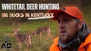Deer Hunting Big Bucks in Kentucky!