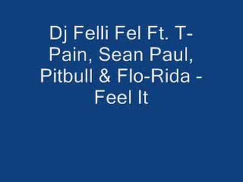Dj FelliFel Ft. T-Pain,Pitbull,Sean Paul,Flo-Rida - Feel It