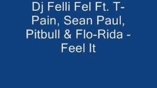 Dj FelliFel Ft. T-Pain,Pitbull,Sean Paul,Flo-Rida - Feel It