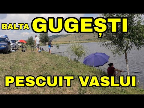 Balta GUGESTI Vaslui Pescuit la Crap