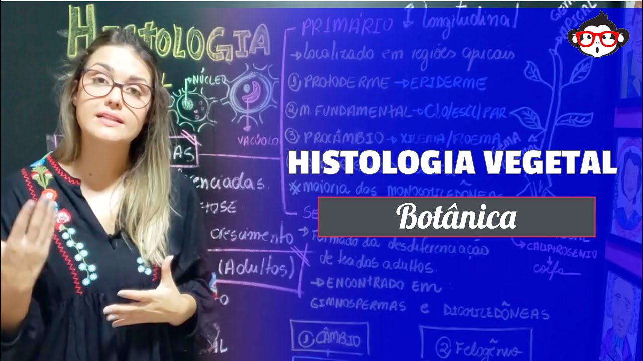 Botânica | Histologia Vegetal: Introdução e Tec. de Revestimentos (5)  🐵📚