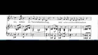 Das Veilchen Accompaniment Mozart Low key Eb