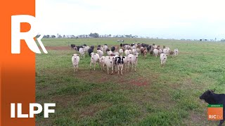 Miniatura do vídeo