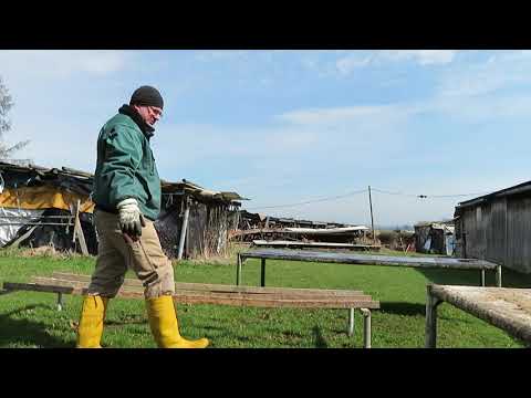 Hühnerstallvorbereitung für die neuen Hühner