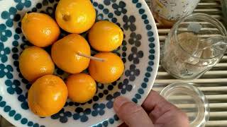 キンカンのハチミツ漬け1/2