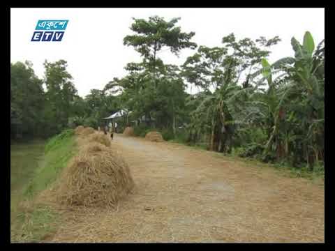 মৌলভীবাজারের শতাধিক বীরাঙ্গনা পাননি মুক্তিযোদ্ধার স্বীকৃতি