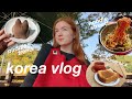 solo trip to gwangju, home sick, crochet an ugly scarf w/ me, viral cafes, street food ☕ korea vlog