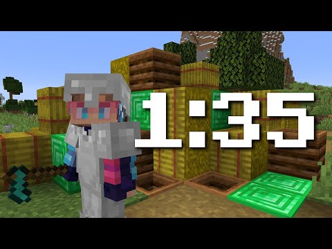 full iron armor and 15 levels world record