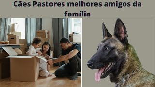top ideias sobre cachorros2- final