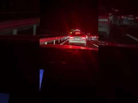 Blondu de la Timisoara - Domnul Cu Costum Maro