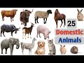 25 Domestic Animals Name Domestic Animals Vocabulary Domestic Animals Names For Kids Toddlers