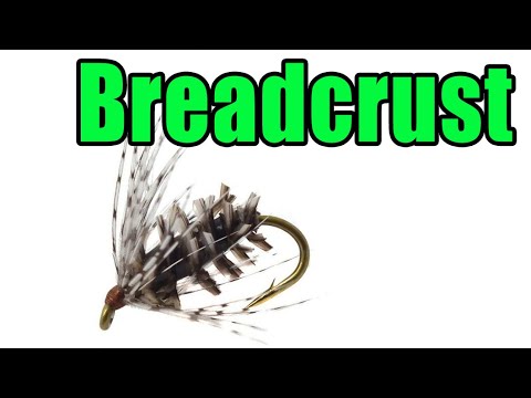 download lagu mp3 mp4 Bread Crust Fly, download lagu Bread Crust Fly gratis, unduh video klip Bread Crust Fly
