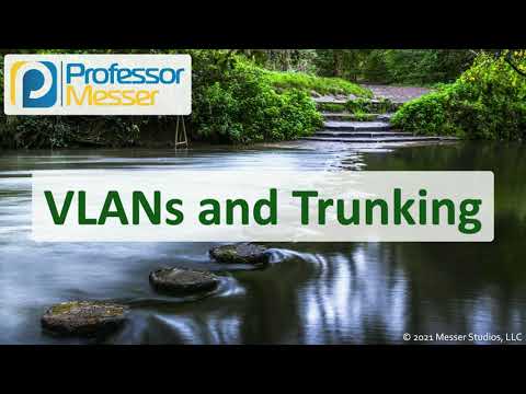VLANs and Trunking - N10-008 CompTIA Network+ : 2.3