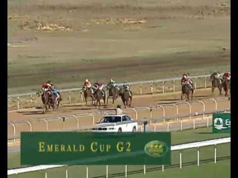 EMPERORS PALACE READY TO RUN SALE 2009