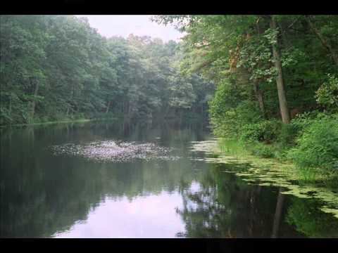 Old Mill Pond fade in clip