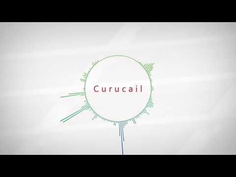 The Mary Nixons - Adrian (Curucail Remix)