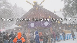 preview picture of video 'Travel Diaries: Hokkaido Day 4 & 5 ✈'