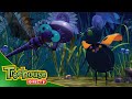 Miss Spider Night And Day Cob Fog Ep 43
