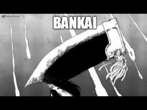 Warframe Ivara broke the game