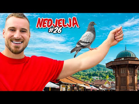 NEDJELJA SA SAURUSIMA - EP 26