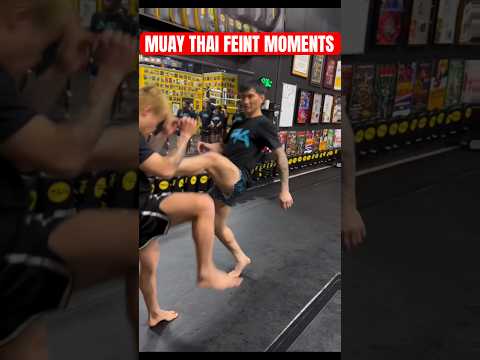 Muay Thai feint and front kick 🥊 #muaythai #mma #thaiboxing #kickboxing #usa