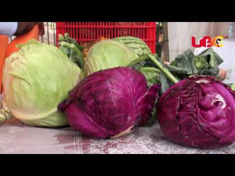 IITA's systematic approach to agricultural research