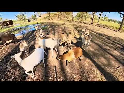 Parco Arcadia Bareggio