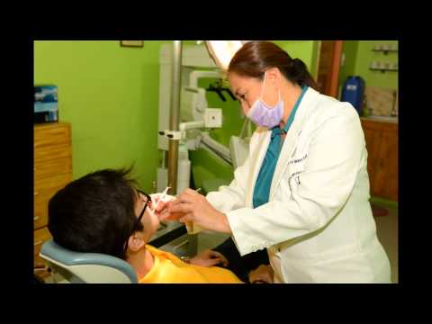 MD 14 Dental Hub: The Dentist In Action