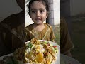 Chicken Biryani With Kachomer Salad By Haleema