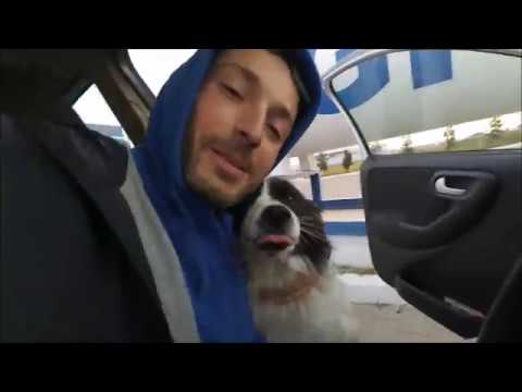 [ Foxanu' ] Mersu' vietii