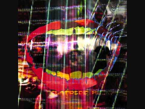 Animal Collective- Wide Eyed