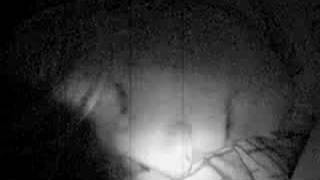 Dusk and Summer Dashboard confessional