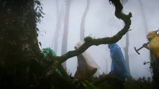 Download lagu Kekaatha vaathiyam kekuthu-Merku thodarchi malai-ILAIYARAAJA mp3