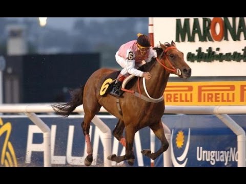 Invasor (ARG) - Gran Premio Nacional 2005