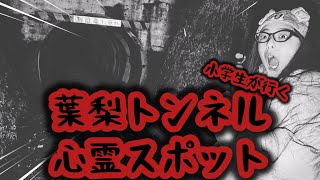 リベンジ編、暗夜への道   #葉梨トンネル #心霊スポット #小学生youtuber  @-annya-6891 