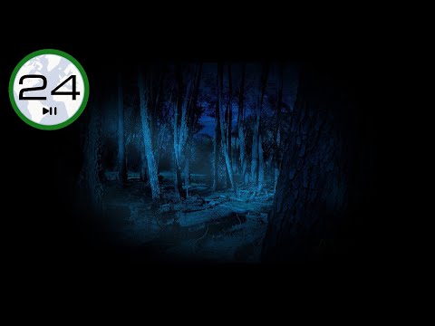 Sound of CRICKETS to Sleep ⬛🦗 BLACK SCREEN Relaxing night sounds Crickets chirping in the Forest