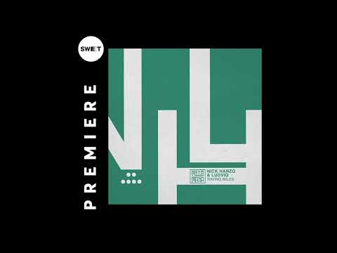 PREMIERE : Nick Hanzo & Ludviq - Widget Figet (Original Mix) [Melómana Records]